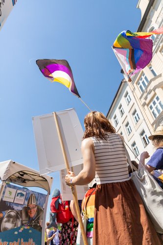013csd2026.jpg