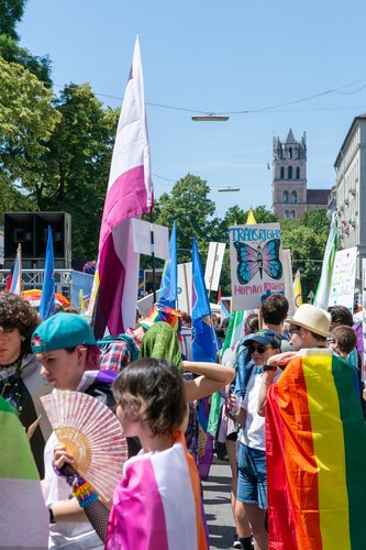 014csd2026.jpg