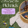 AroSpAce_Picknick.png