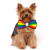 Rainbow_Hund.png