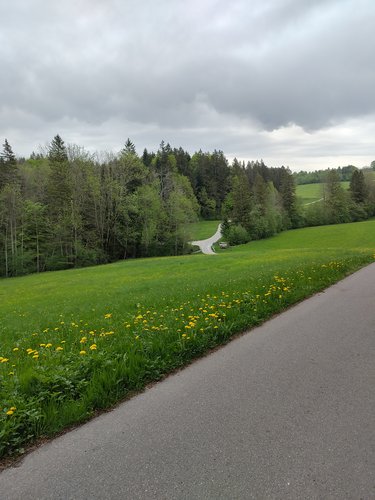 Wandern 2025_1