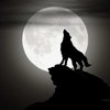 Werwolf